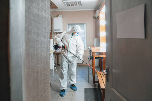 Whittingham, NJ Mold Removal Company